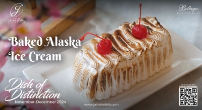 Dish Of The Month|Baked Alaska Ice Cream